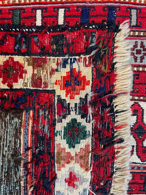 Iranian Rau Rau Sumak 2'7 x 9'8