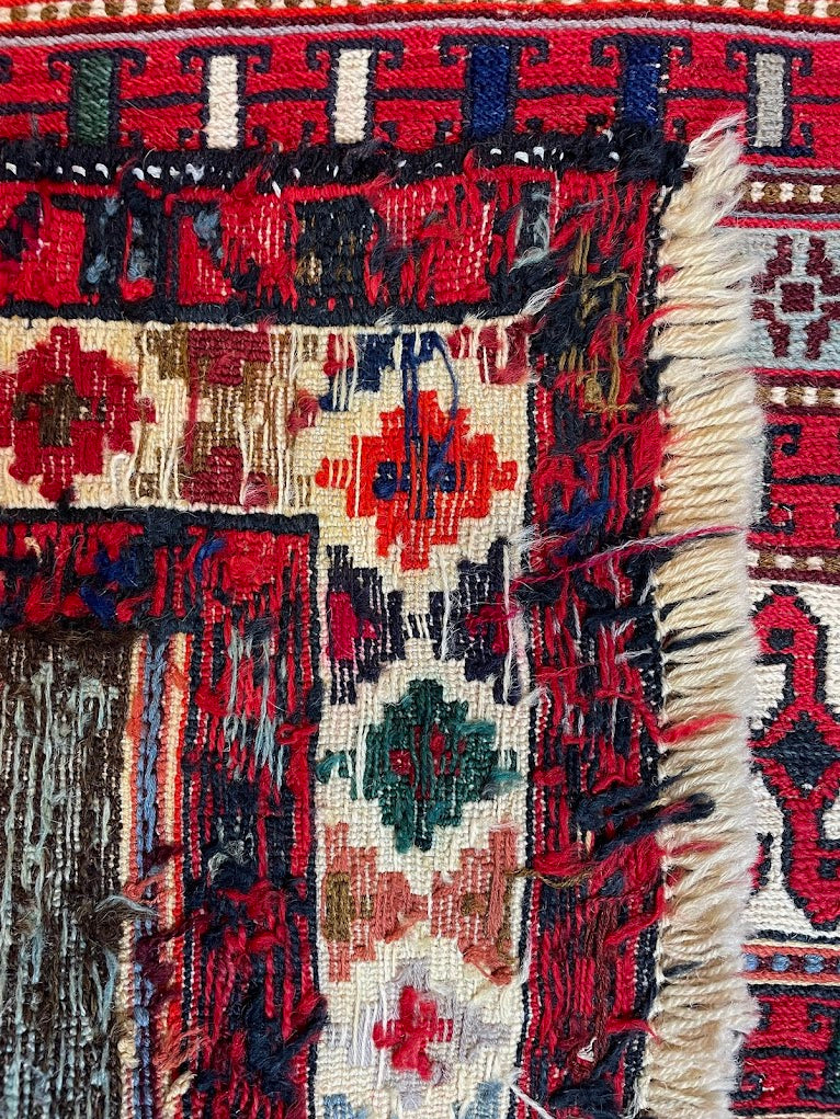 Iranian Rau Rau Sumak 2'7 x 9'8