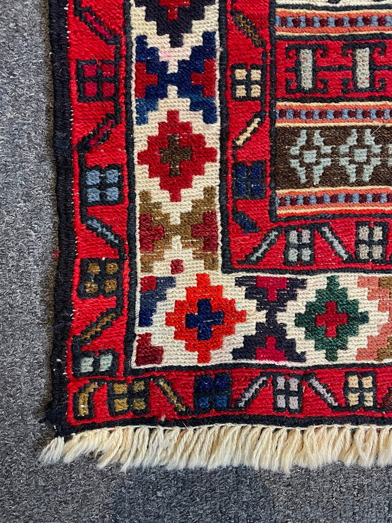 Iranian Rau Rau Sumak 2'7 x 9'8