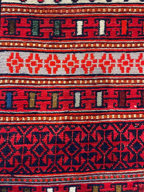 Iranian Rau Rau Sumak 2'7 x 9'8