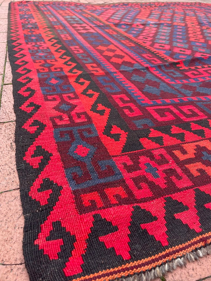 Afghan Maimana Kilim 7'11 x 8'9
