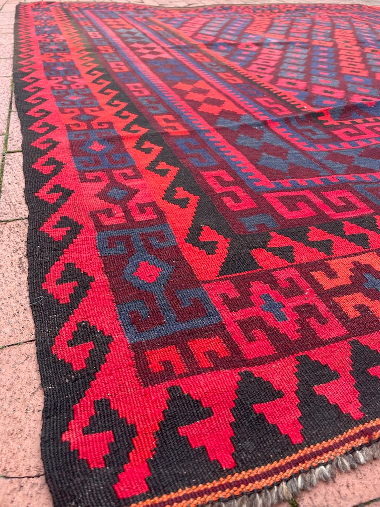 Afghan Maimana Kilim 7'11 x 8'9