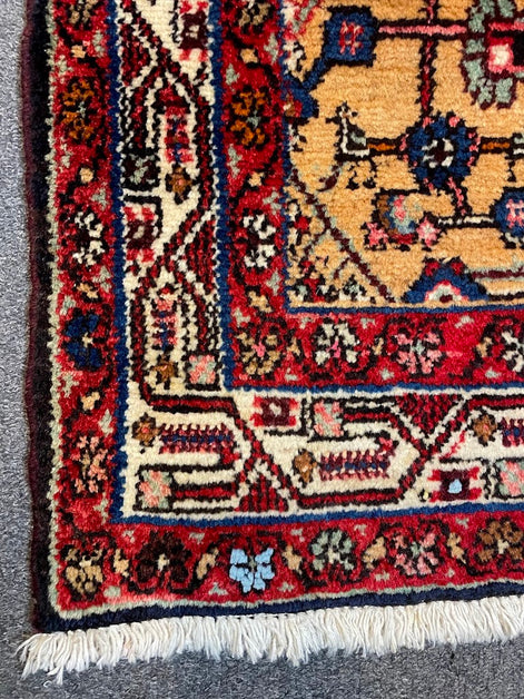 Iranian Paisley Leaf 3'5 x 10'10