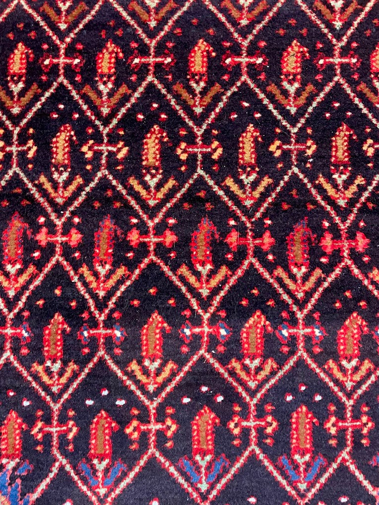 Iranian Paisley Leaf 3'5 x 10'10