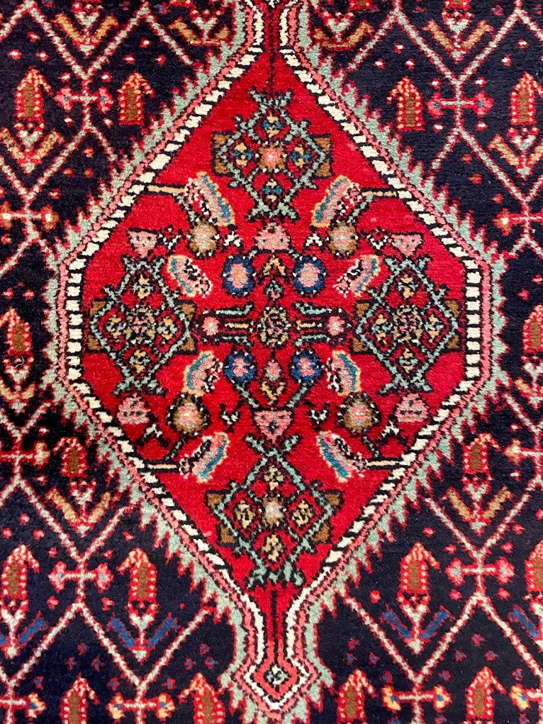 Iranian Paisley Leaf 3'5 x 10'10