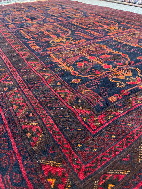 Afghan Baluch 5'1 x 8'4