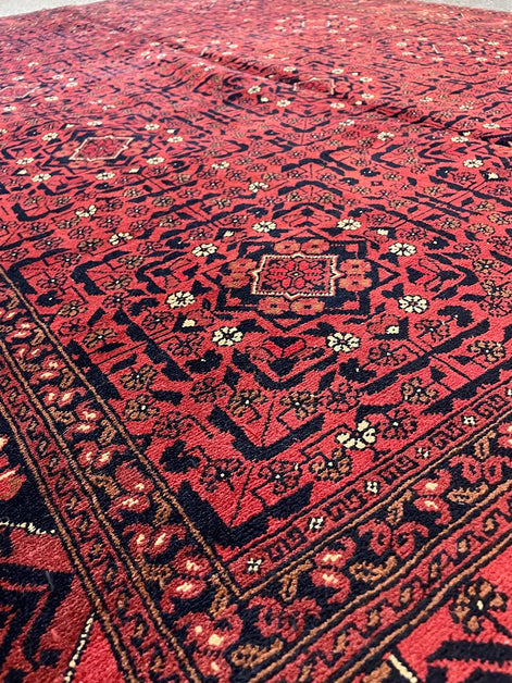 Afghan Khal Mahmadi 5'0 x 6'4