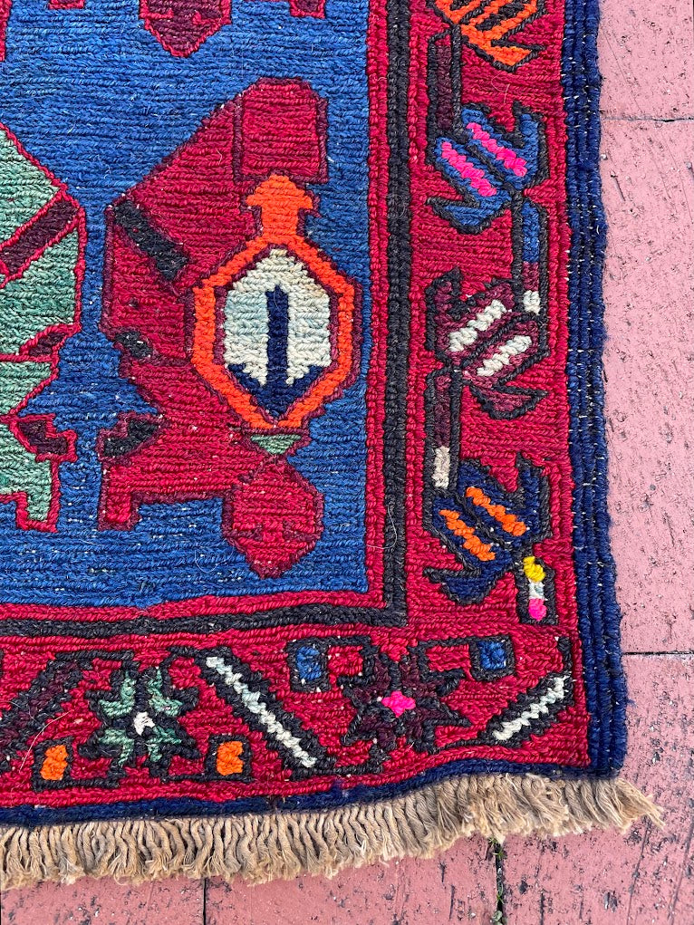 Caucasian Sumak 5'9 x 9'4