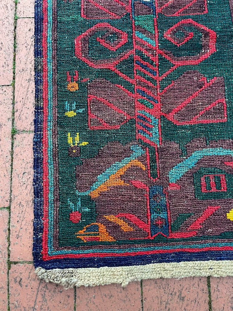 Caucasian Sumak 6'0 x 13'4